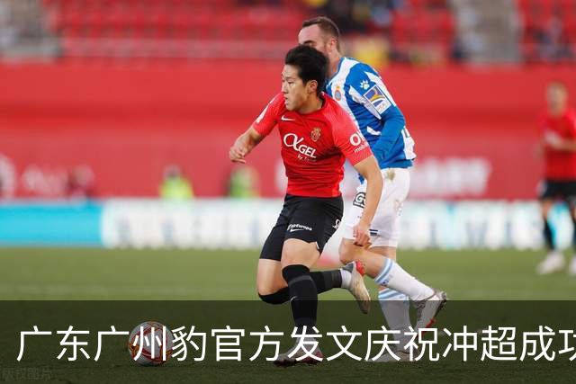广东广州豹官方发文庆祝冲超成功：中超，广州来了！