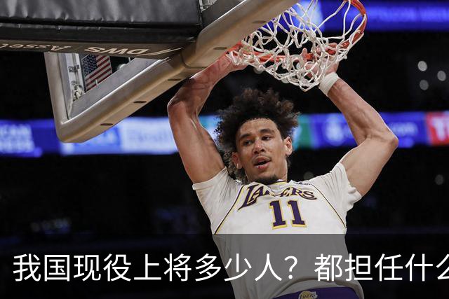 我国现役上将多少人？都担任什么职务